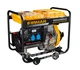 Дизельный генератор FIRMAN SDG5500CLE