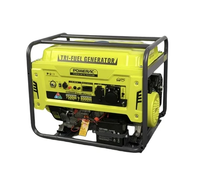 Электростанция гибридная (газ-бензин) Powerac Eco+ PR8000 Winter 3 в 1