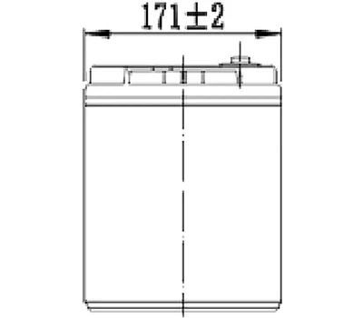 Аккумуляторная батарея гелевая WBR GPLG12-100 (12В, 100Ач)
